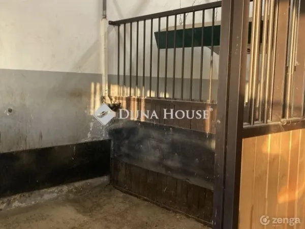 Eladó mezőgazdasági ingatlan Bugac 400 nm