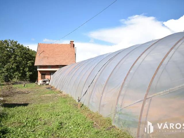 Eladó mezőgazdasági ingatlan Gyula, Paradicsom 4205 nm