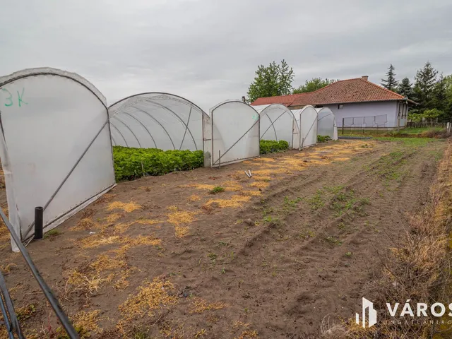 Eladó mezőgazdasági ingatlan Zsombó 2856 nm