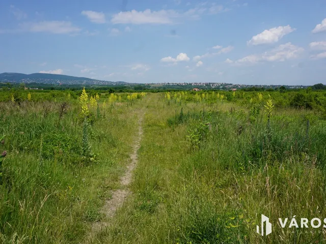 Eladó telek Pomáz 1020 nm