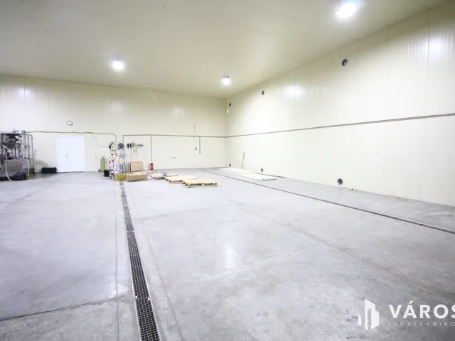 Eladó kereskedelmi és ipari ingatlan Hódmezővásárhely 1800 nm