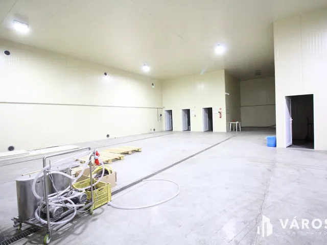 Eladó kereskedelmi és ipari ingatlan Hódmezővásárhely 1800 nm