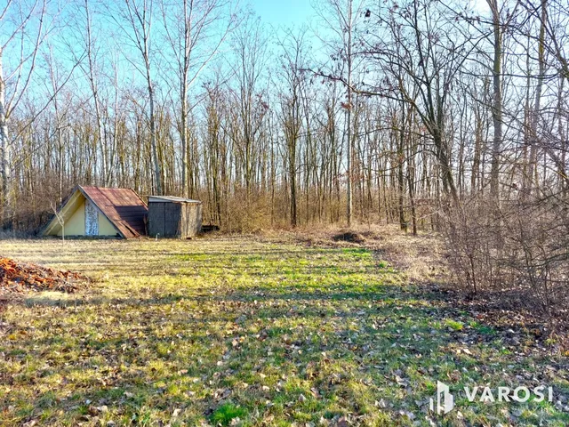 Eladó mezőgazdasági ingatlan Békéscsaba, Dobozi úti kertek 3659 nm