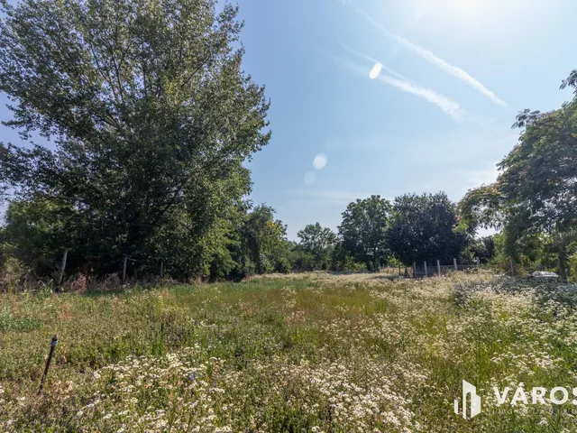 Eladó mezőgazdasági ingatlan Szeged, Tompasziget 895 nm