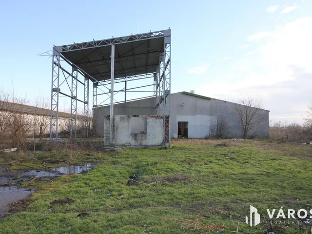 Eladó mezőgazdasági ingatlan Hódmezővásárhely 1435 nm