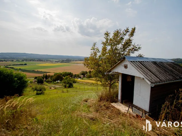 Eladó mezőgazdasági ingatlan Kerkateskánd 24 nm