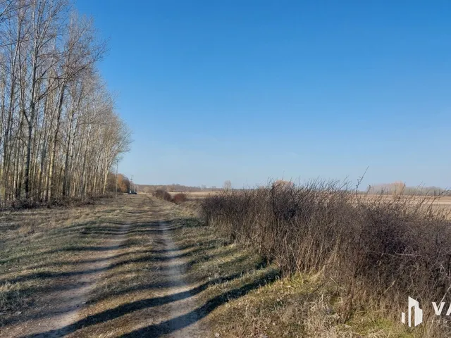 Eladó mezőgazdasági ingatlan Hosszúpályi 165138 nm