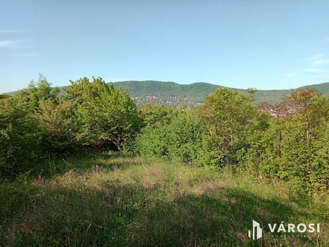 Eladó telek Budapest III. kerület, Mátyáshegy 1590 nm