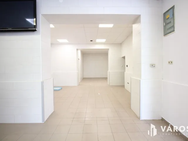 Kiadó kereskedelmi és ipari ingatlan Szentes 160 nm