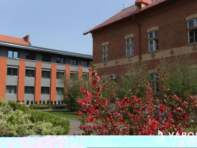 Kiadó kereskedelmi és ipari ingatlan Debrecen, Belváros 300 nm