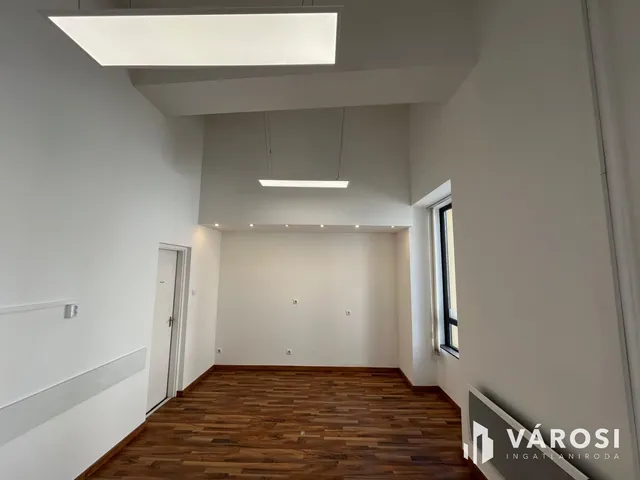 Kiadó kereskedelmi és ipari ingatlan Debrecen, Belváros 22 nm