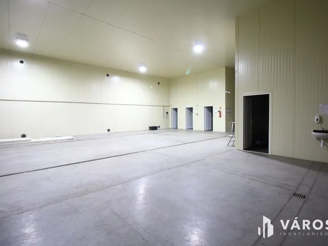Kiadó kereskedelmi és ipari ingatlan Hódmezővásárhely 630 nm