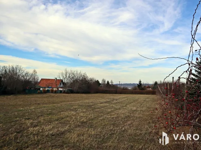 Eladó mezőgazdasági ingatlan Balatonberény 1582 nm