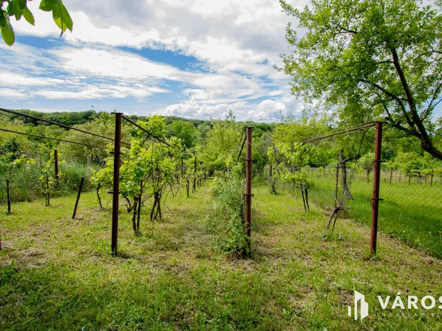 Eladó mezőgazdasági ingatlan Lenti 1708 nm