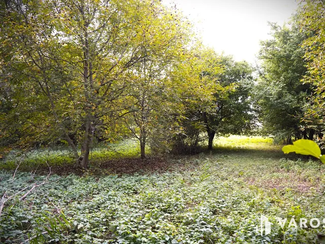 Eladó telek Győr 1005 nm