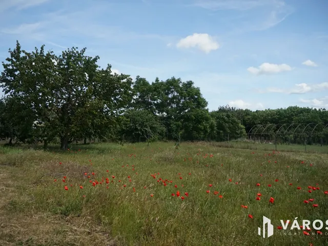 Eladó telek Pusztavacs 1463 nm