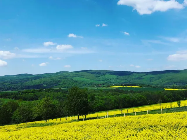 Eladó telek Kőszegdoroszló 1165 nm