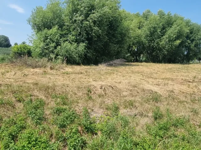 Eladó telek Nagykanizsa, Kiskanizsa 981 nm