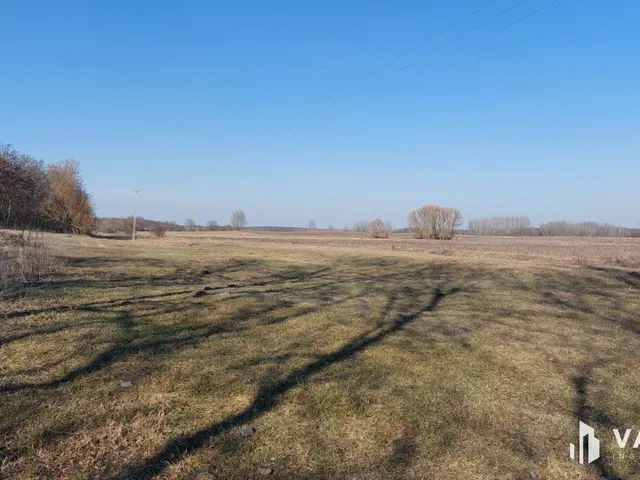 Eladó kereskedelmi és ipari ingatlan Hosszúpályi 165138 nm