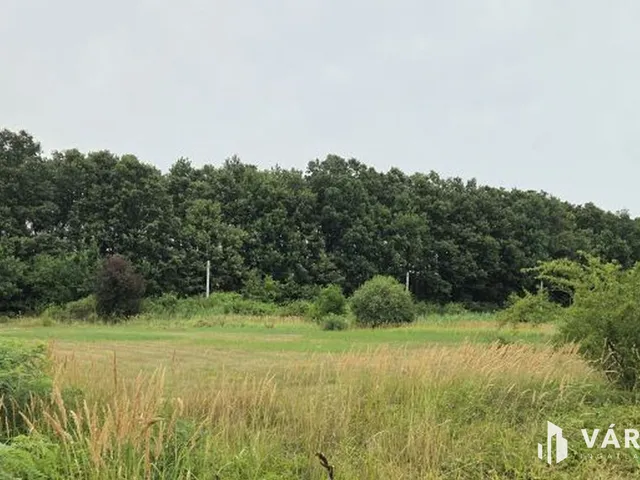 Eladó telek Abádszalók 561 nm