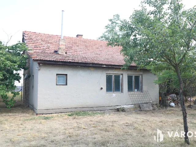 Eladó mezőgazdasági ingatlan Szeged 100 nm