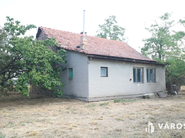 Eladó mezőgazdasági ingatlan Szeged 100 nm