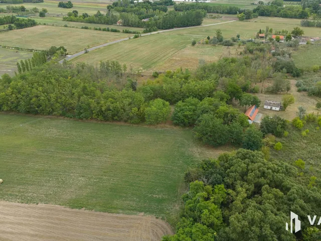 Eladó mezőgazdasági ingatlan Balástya 60 nm