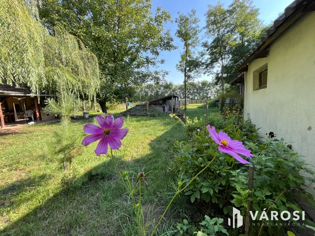 Eladó mezőgazdasági ingatlan Debrecen, Dombos 220 nm