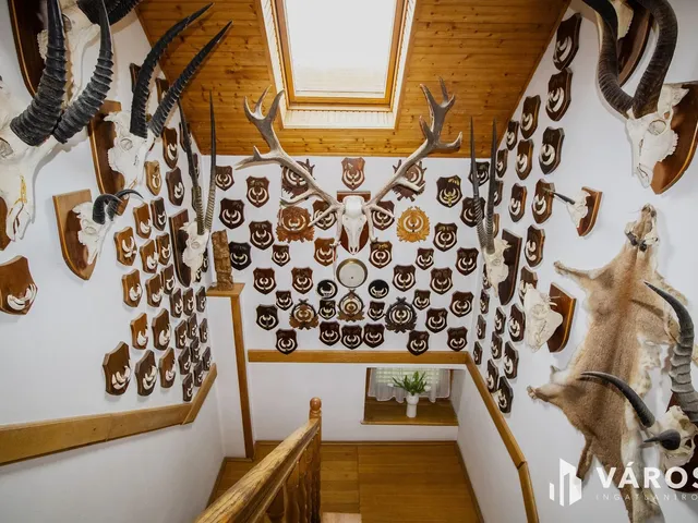 Eladó ház Gyula 195 nm