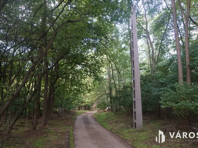 Eladó mezőgazdasági ingatlan Vasad 40 nm