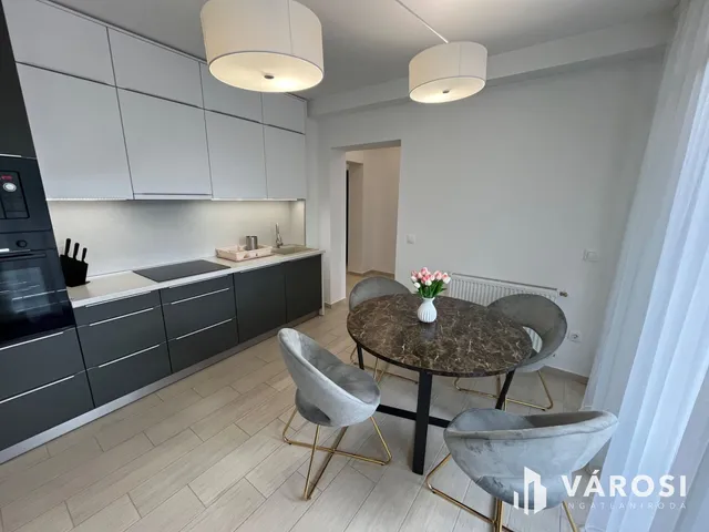 Kiadó lakás Debrecen, Belváros 100 nm