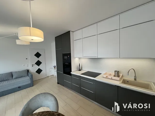 Kiadó lakás Debrecen, Belváros 100 nm