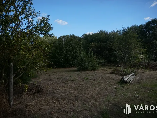 Eladó mezőgazdasági ingatlan Csemő 941 nm