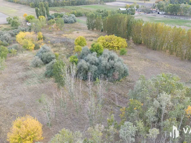 Eladó mezőgazdasági ingatlan Balástya 40 nm