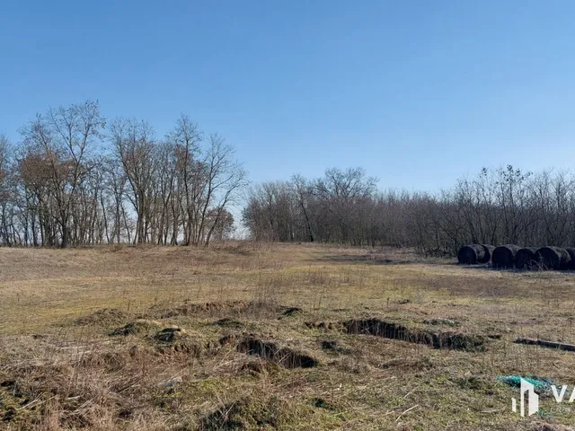 Eladó mezőgazdasági ingatlan Hosszúpályi 165138 nm