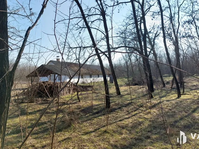 Eladó mezőgazdasági ingatlan Hosszúpályi 165138 nm