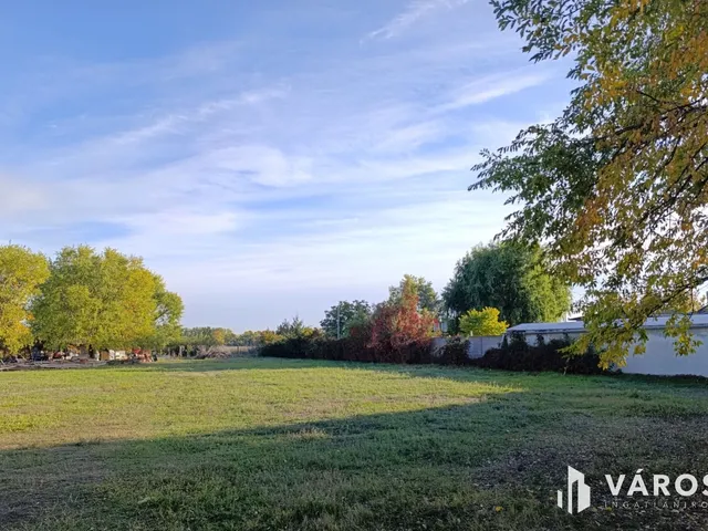 Eladó telek Békéscsaba 3000 nm
