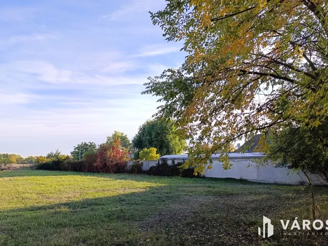 Eladó telek Békéscsaba 3000 nm