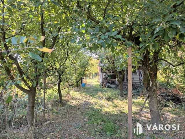 Eladó mezőgazdasági ingatlan Békéscsaba 814 nm