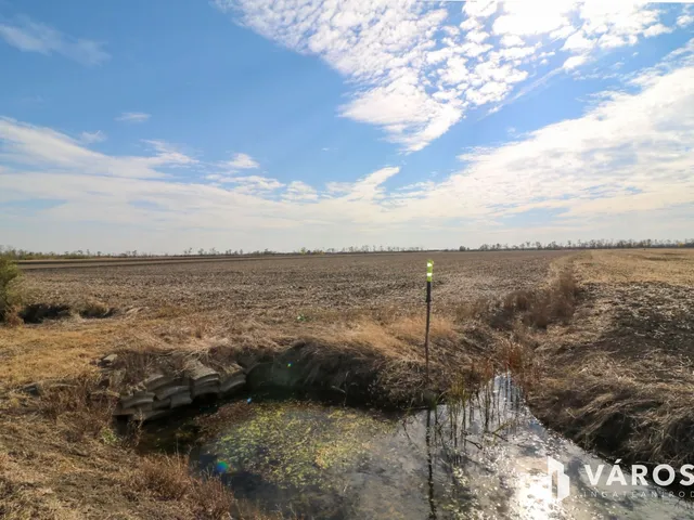 Eladó mezőgazdasági ingatlan Nagyszénás 40330 nm