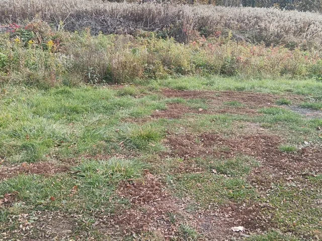 Eladó telek Dömsöd 1110 nm