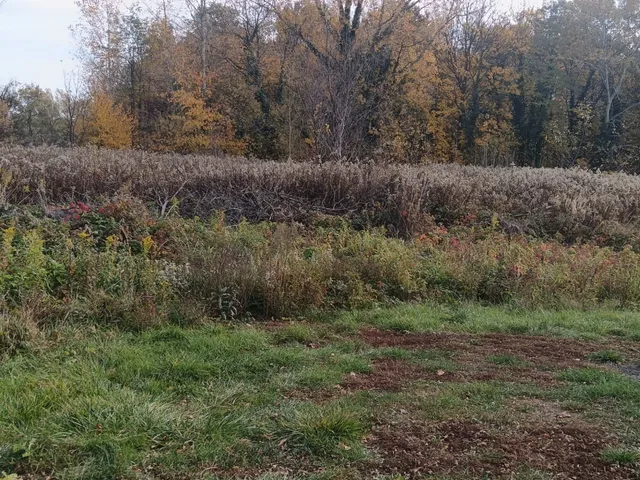 Eladó telek Dömsöd 1110 nm