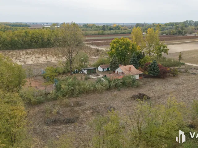 Eladó mezőgazdasági ingatlan Soltvadkert 80 nm