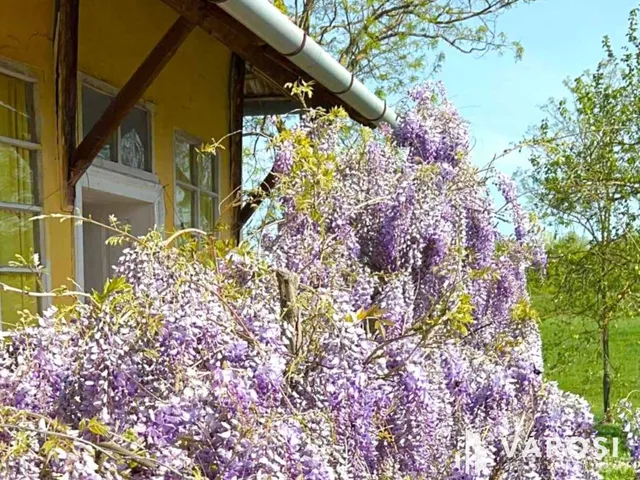 Eladó ház Körösladány 67 nm