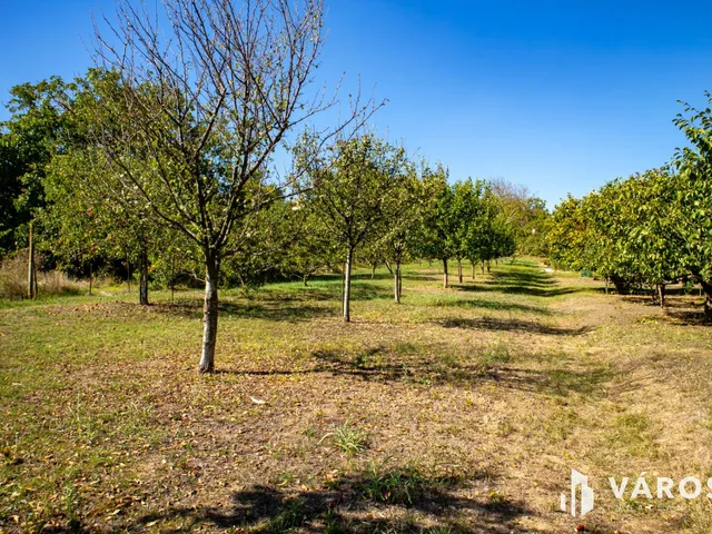 Eladó telek Mohács 51 nm