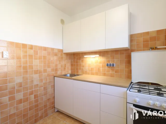 Kiadó lakás Szeged, Északi városrész 53 nm