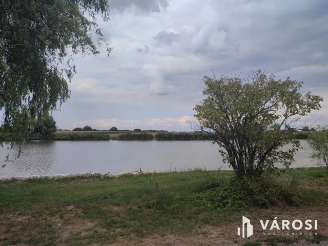 Eladó mezőgazdasági ingatlan Röszke 1052 nm