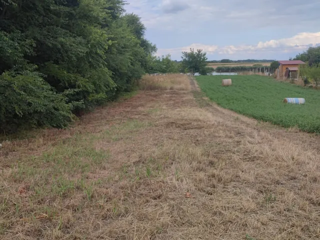 Eladó mezőgazdasági ingatlan Röszke 1052 nm