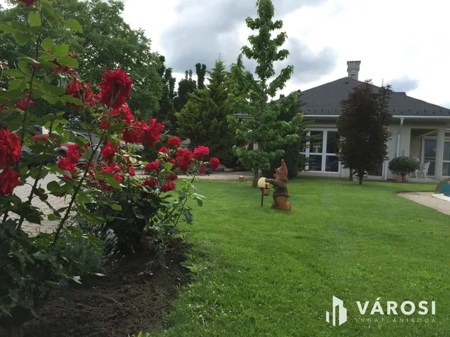 Eladó ház Debrecen, Köntöskert 500 nm