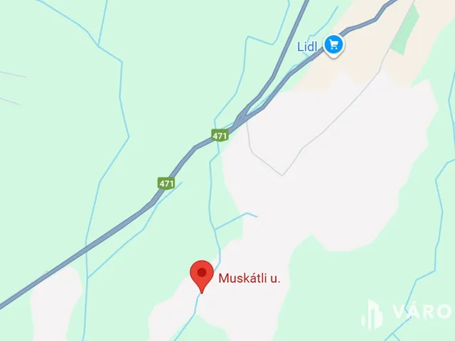 Eladó mezőgazdasági ingatlan Hajdúsámson 4293 nm